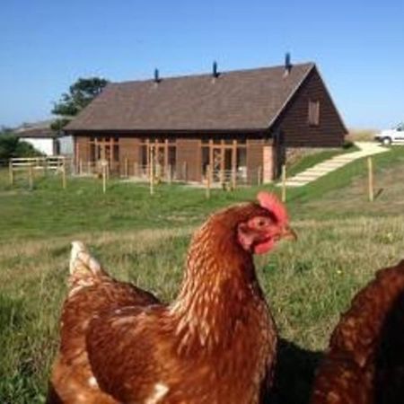 Bike Shed - Beautiful 1-Bed Cottage In Shorwell 外观 照片