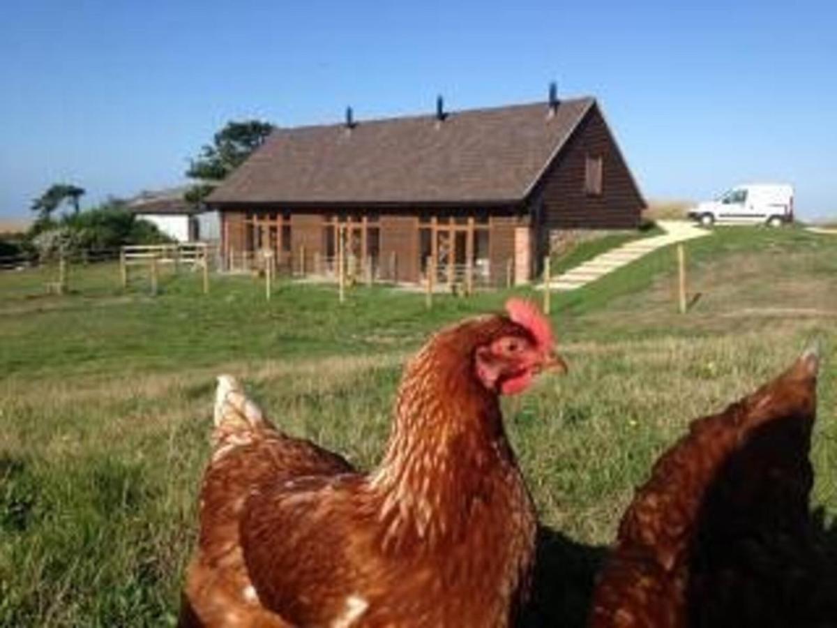 Bike Shed - Beautiful 1-Bed Cottage In Shorwell 外观 照片
