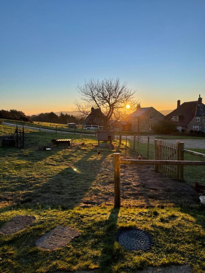 Bike Shed - Beautiful 1-Bed Cottage In Shorwell 外观 照片