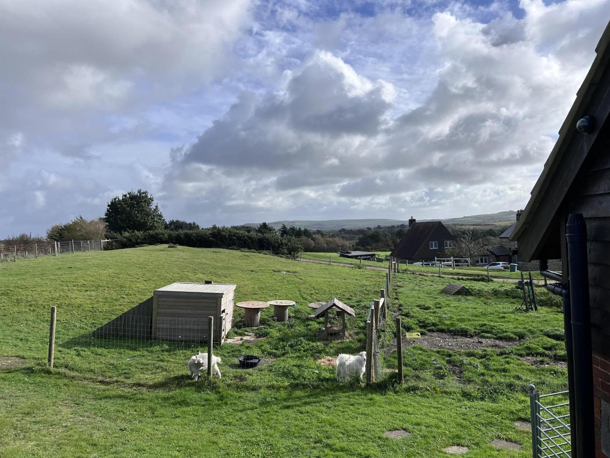 Bike Shed - Beautiful 1-Bed Cottage In Shorwell 外观 照片